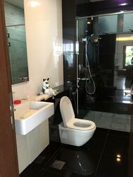 Serangoon Garden Estate (D19), Terrace #563269811